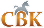 CBK Technik Group